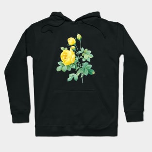 Yellow Rose Flower Vintage Botanical Illustration Hoodie